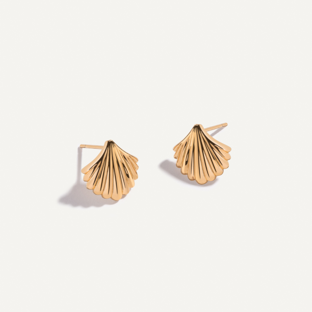 Shell Earrings