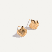 Shell Earrings